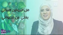 هل البروتين النباتي يغني عن الحيواني