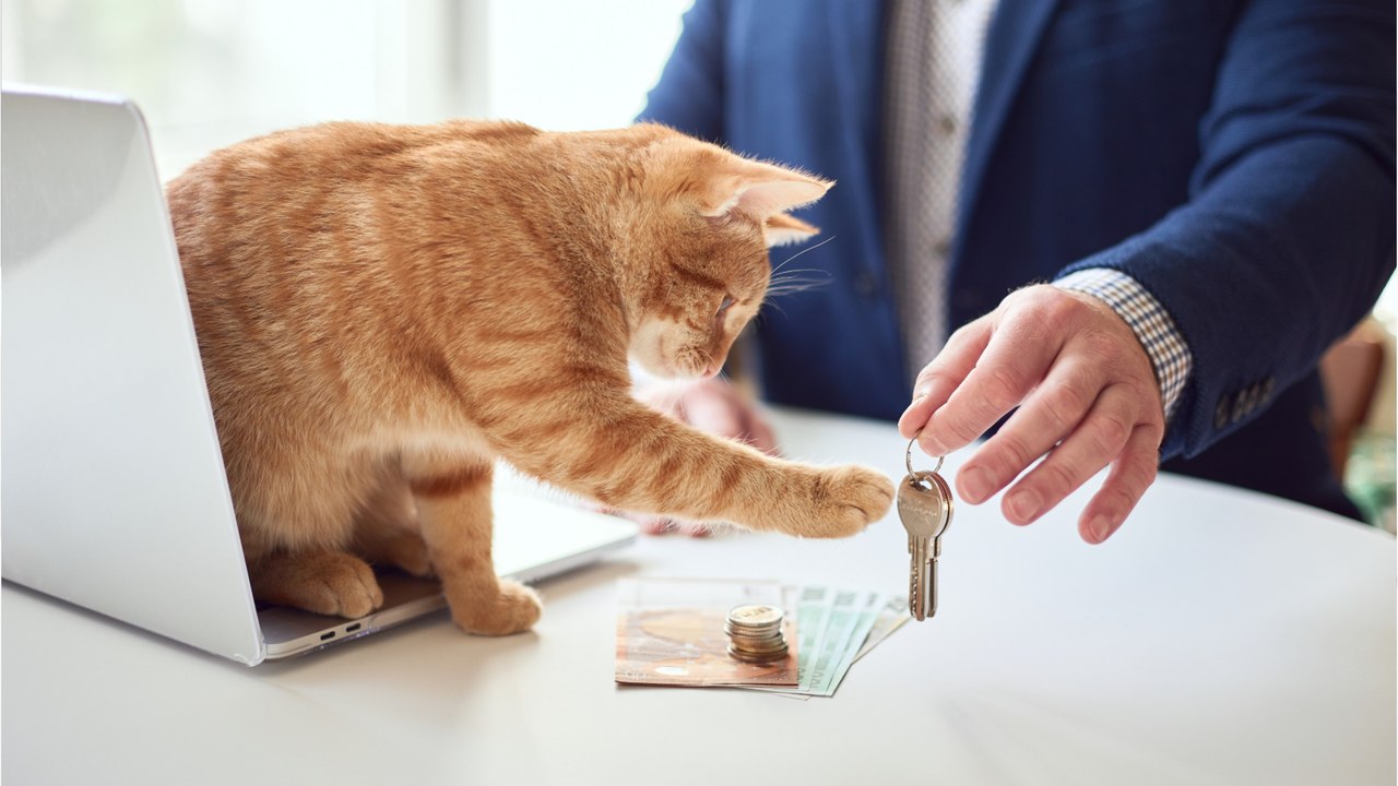 Grenze gilt immer: Höhere Mietkaution bei Tierhaltung unzulässig