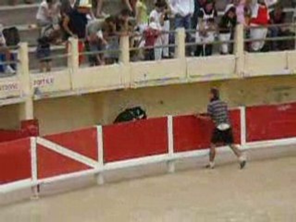 saintes marie de la mer, feria