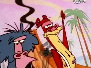 I Am Weasel I Am Weasel S05 E013 I Am Cave Weasel