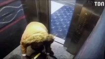 L'aspirateur se bloque dans les portes de l'ascenseur, cet homme est propulsé