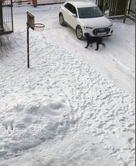 Essayer de stopper un portail automatique... avec son corps