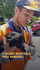 Honey es una cachorrita que fue abandonada en una caneca de basura pero encontró a un verdadero ángel de la guarda