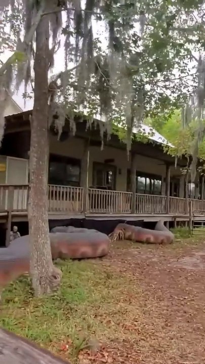 Titanoboa, Zoo , florida