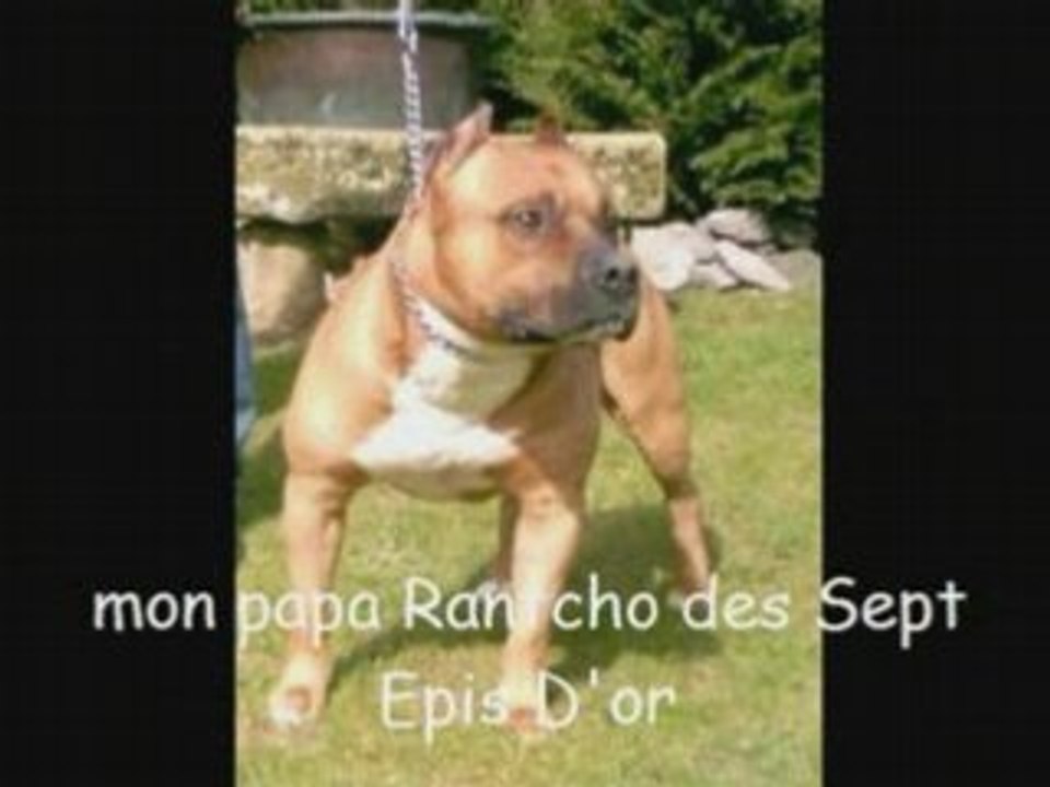 Photorécit12(1)