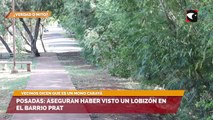 Posadas aseguran haber visto un lobizón en el barrio Prat