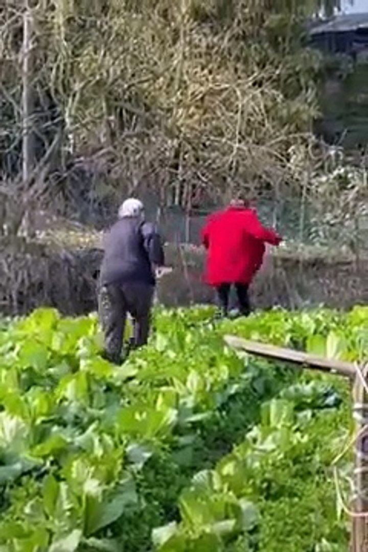 ⁣Funny_Girl__Thánh_Ăn_Thánh_Nhây_Funny Crowns