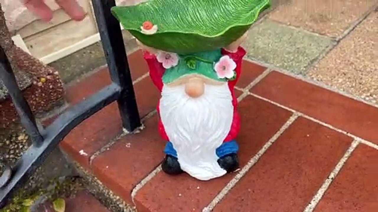 Dragon Statue Garden Figurine Solar Powered LED Lights Outdoor Statues Outdoor Decor Garden Sculptures,Weather Resistant Garden Statues with Gazing Ball Dragon Decor for Patio Lawn Yard Decor Patio,