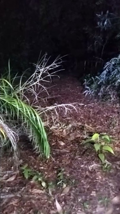 Paranormal activity ghost on camera part 85