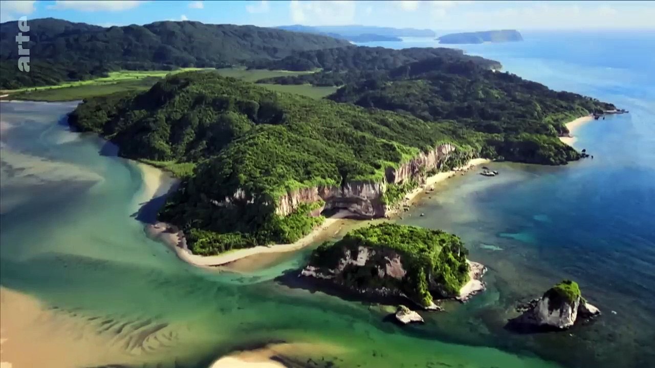 Un paradis tropical au Japon