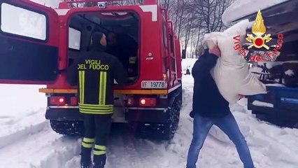 E' emergenza neve nel Vibonese: raggiunta l'azienda agricola isolata