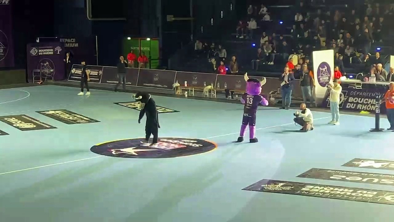 Istres Provence Handball présente sa nouvelle mascotte