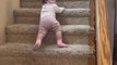 Baby Slides Down on Stairs in Reverse