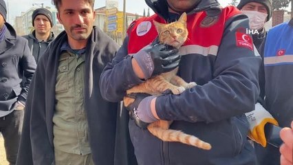 Tải video: Ses geldiği için girdikleri binada 104 saat mahsur kalan kediyi kurtardılar