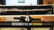 CONFIRA AS PRINCIPAIS DESCOBERTAS ARQUEOLÓGICAS DESTA SEMANA! (12/02/2023)