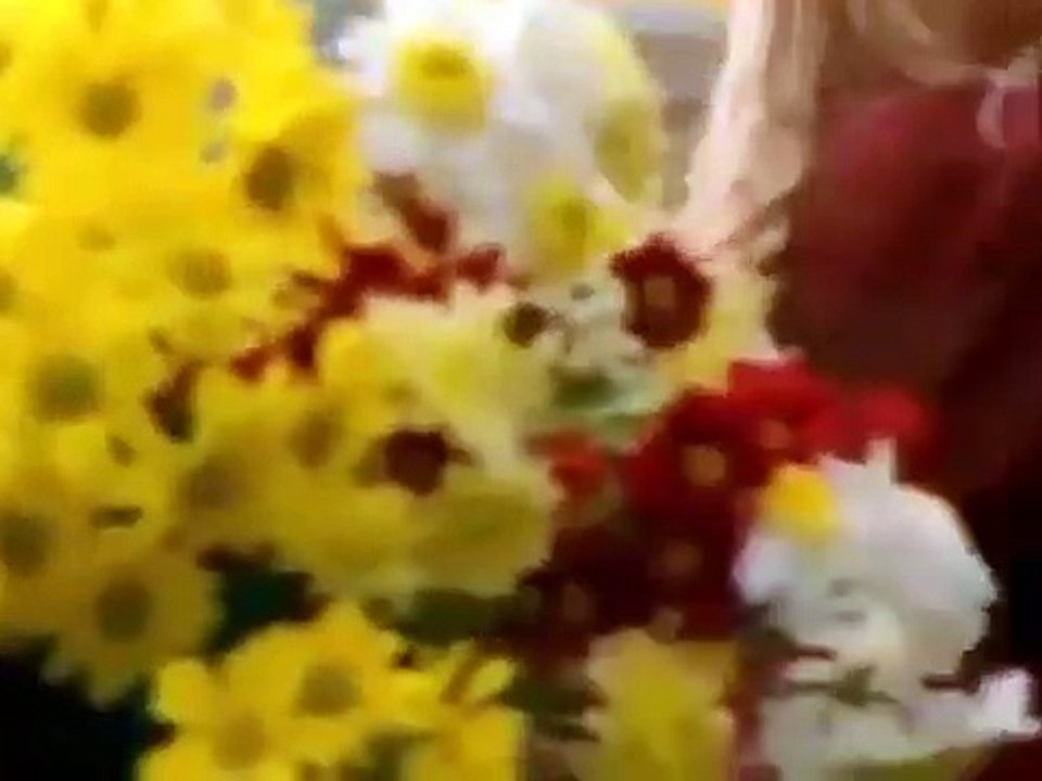 The Lost World - Se1 - Ep09 HD Watch