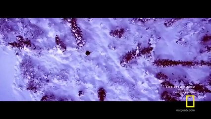 Life Below Zero - Se9 - Ep04 - Burn the Midnight Oil HD Watch