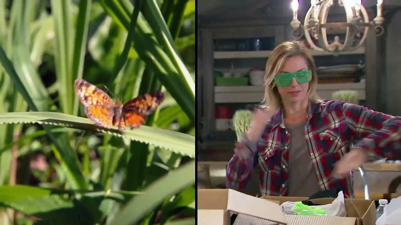 Jep $$ Jessica - Growing the Dynasty - Se1 - Ep05 HD Watch