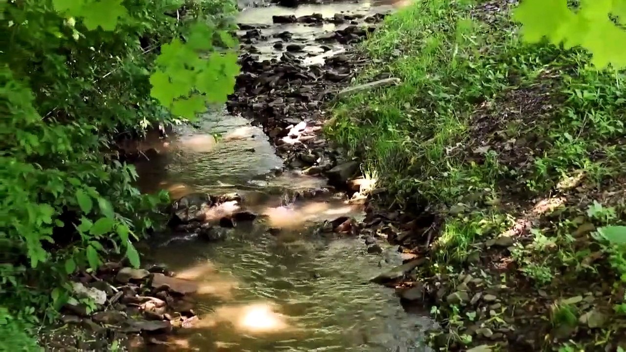 Restored by the Fords - Se2 - Ep05 - The Power of Paint HD Watch