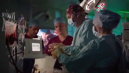 Holby City - Se22 - Ep05 HD Watch