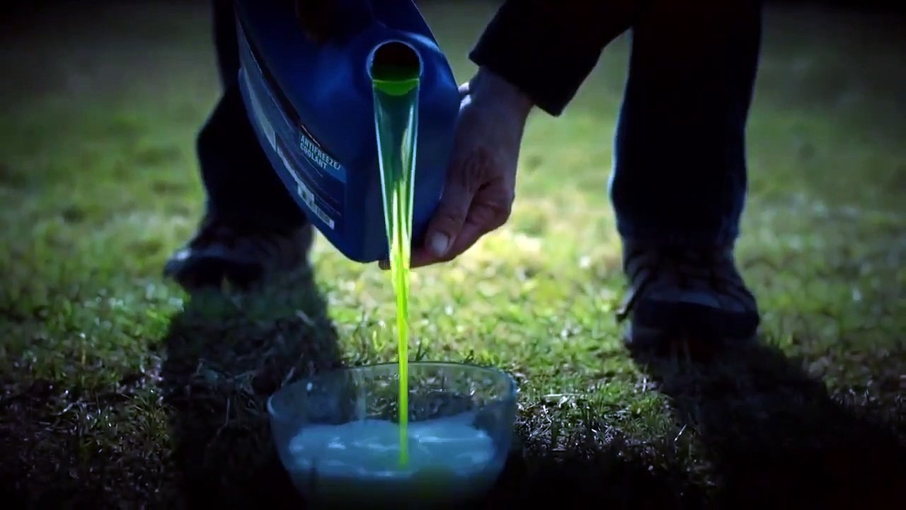 Trending Fear - Se1 - Ep01 - Evil Deliverance HD Watch