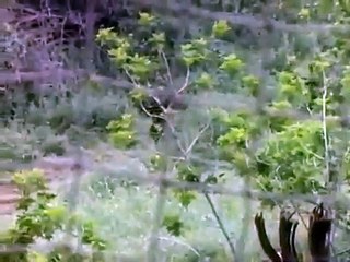 Tour of Duty - Se1 - Ep18 - The Short Timer HD Watch