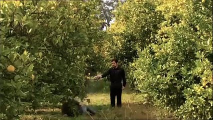 The Underbelly Files - Ep02 - Infiltration HD Watch