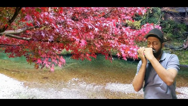 Stumblin' In (Chris Norman & Suzi Quatro) (1978) | Harmonica Cover with Lyrics