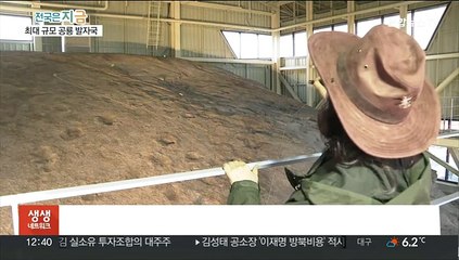 군산 도심에 찍힌 공룡·익룡 발자국 280개