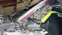 Terremoto Turchia: i vigili del fuoco italiani e il fiuto dei cani da soccorso