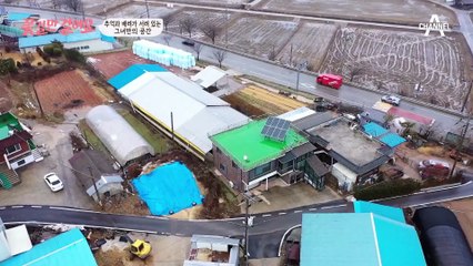 4년째 지속된 영숙 씨의 허리 통증♨ 아픈 주인공을 위한 창훈의 특급 외조?!