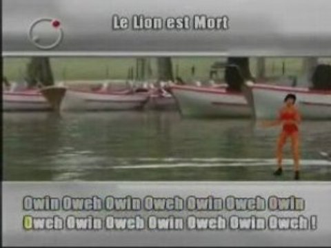 Karaoké-Fr-Pow Wow - Le Lion Est Mort Ce Soir