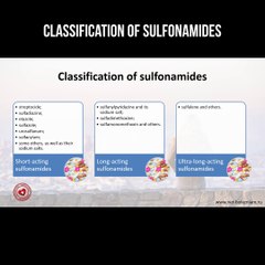 Comprehensive Guide to Sulfonamide Classification 🧪