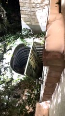 Police Officers Rescue Deer From Window Well