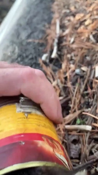Man Rescues Cat With Can Stuck on Its Head
