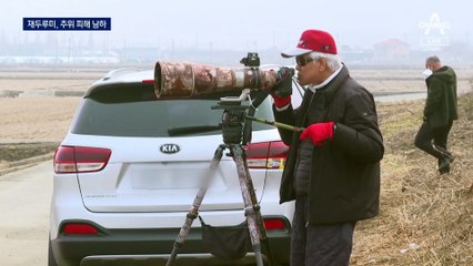 “추운 건 싫어”…‘멸종위기종’ 재두루미, 따뜻한 남쪽으로
