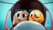 Where's Chicky_ Funny Chicky 2023 _ LOVE STORY _ Cartoon in English for Kids _ New episodes