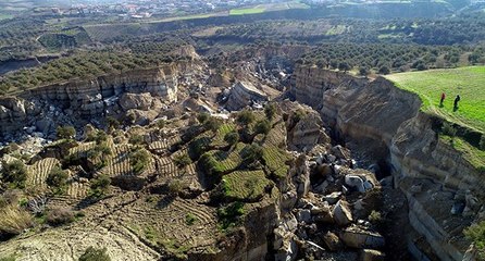 Zeytin bahçesi, depremde ikiye bölündü