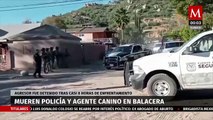 Policía y elemento canino murieron tras balacera con civiles armados en Baja California