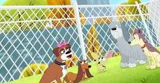 Pound Puppies 2010 Pound Puppies 2010 S01 E008 My Fair Rebound