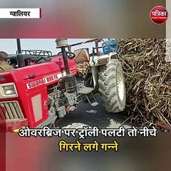 Video herunterladen: अचानक होने लगी गन्ने की बारिश