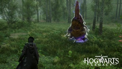 Langue de fangieux Hogwarts Legacy : Ingrédient et comment les suspendre par la langue ?