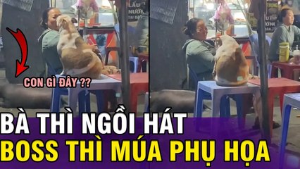 Chú chó "ỐM NHOM" vui vẻ lắc lư theo điệu hát của nội. | Tin 3 phút.