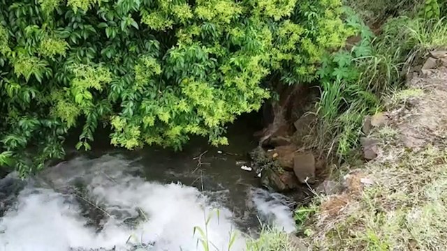 Moradores denunciam vazamento de esgoto no Universitário