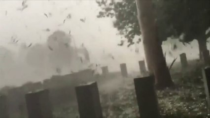 11 minutes ago! Apocalypse in Australia! Tropical cyclone Freddy and storm Dingani! Full evacuation!