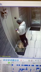 Un chien suspendu à un ascenseur