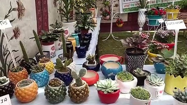 सुभाष उद्यान में नगर-निगम के 'फ्लावर-शो' ने बिखेरी सतरंगी छटा