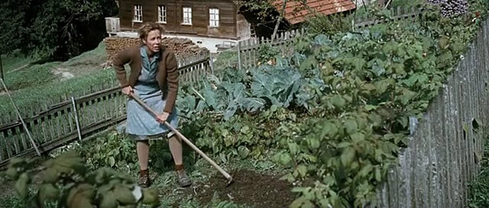 Der Verdingbub (2011)