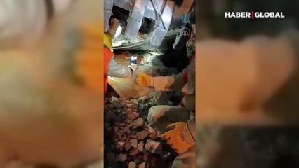 Hatay'da yerle bir olan binadan muhabbet kuşu kurtarıldı 