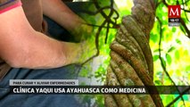 Clínica yaqui implementa el uso de ayahuasca como tratamiento contra adicciones y enfermedades
